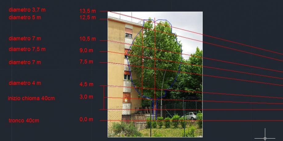 FOTO PLATANO AUTOCAD.jpg