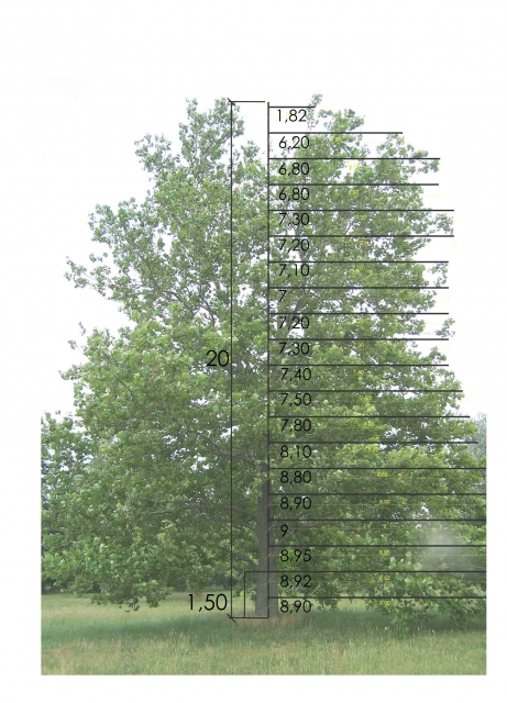 albero dwg-Layout1 copia.jpg