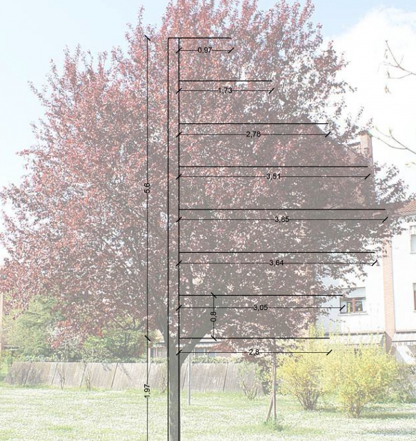 dimensioni albero pronus_0.jpg